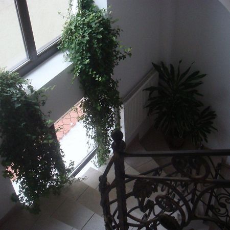 Villa Edera Residence - Gazda Profesionista Bukarest Exteriör bild